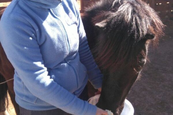 alejandra-caballo-comida