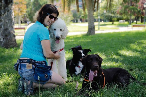alejandra-caniche-border-collie-labrador