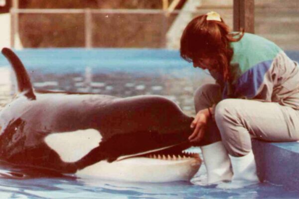 alejandra-orca