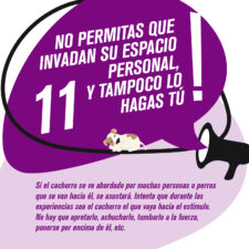 TIPS_socializacion_Mesa-de-trabajo-1-copia-10