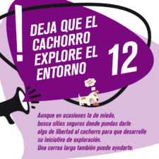 TIPS_socializacion_Mesa-de-trabajo-1-copia-11