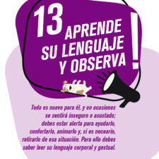 TIPS_socializacion_Mesa-de-trabajo-1-copia-12