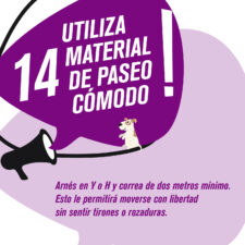 TIPS_socializacion_Mesa-de-trabajo-1-copia-13