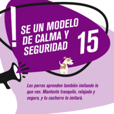 TIPS_socializacion_Mesa-de-trabajo-1-copia-14