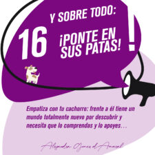 TIPS_socializacion_Mesa-de-trabajo-1-copia-15