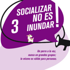 TIPS_socializacion_Mesa-de-trabajo-1-copia-2