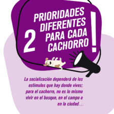 TIPS_socializacion_Mesa-de-trabajo-1-copia