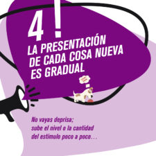 TIPS_socializacion_Mesa-de-trabajo-1-copia-3
