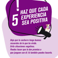 TIPS_socializacion_Mesa-de-trabajo-1-copia-4