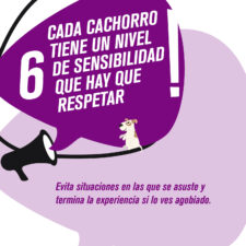 TIPS_socializacion_Mesa-de-trabajo-1-copia-5