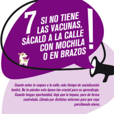 TIPS_socializacion_Mesa-de-trabajo-1-copia-6