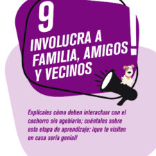 TIPS_socializacion_Mesa-de-trabajo-1-copia-8