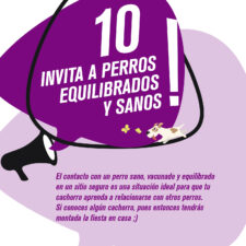 TIPS_socializacion_Mesa-de-trabajo-1-copia-9