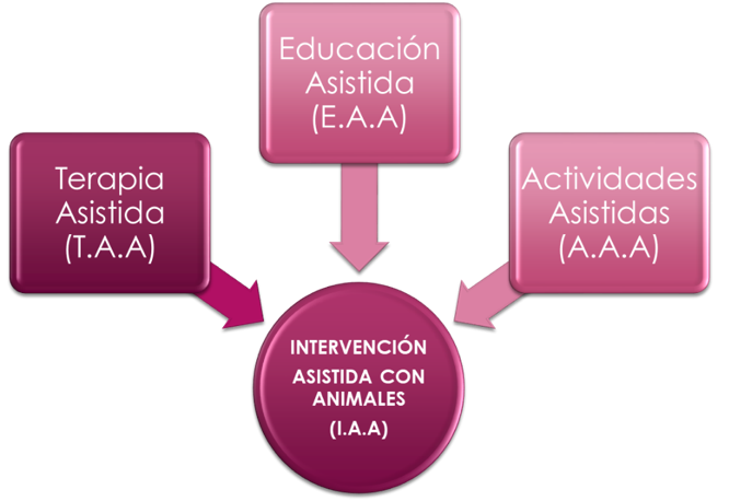 I.A.A